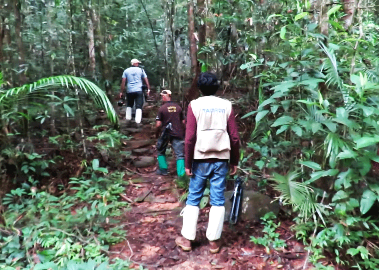 16 TRAILS FOR SINHARAJA FOREST TOUR