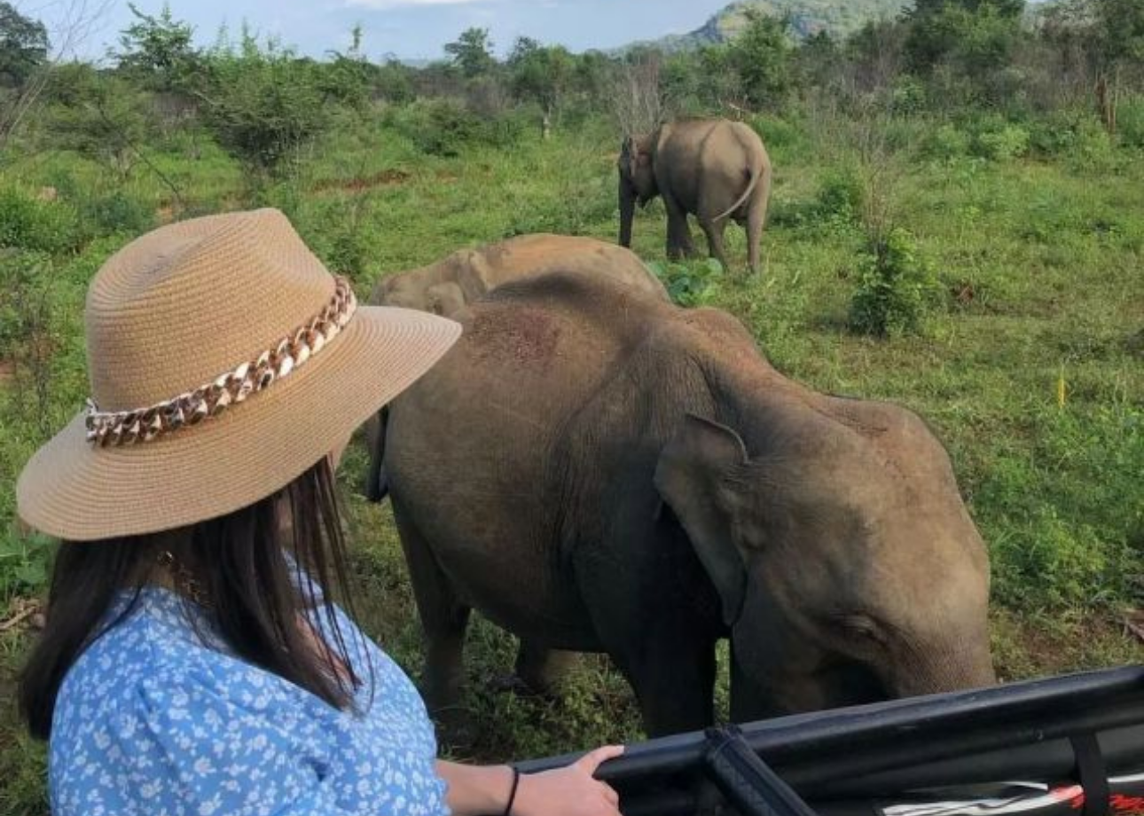 One Week in Sri Lanka: The Perfect 7-Day Itinerary for First-Time Visitors